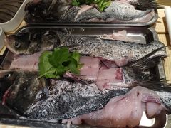 -香坝坝鲜鱼火锅(春熙路店)