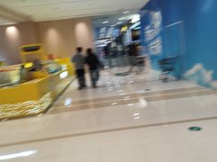 -凯德MALL(望京店)