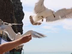 -海驴岛(荣成市)