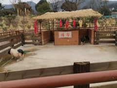 -无锡动物园·太湖欢乐园