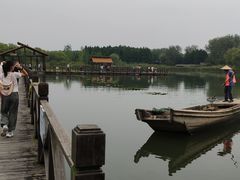 -溱湖国家湿地公园