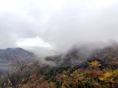 -大岭沟猕猴桃谷风景区