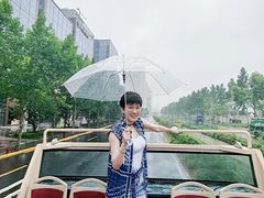 -BUS TOUR观光巴士