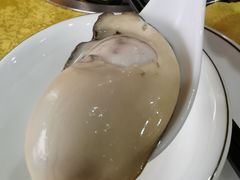 -濠轩阁特色生蚝火锅(水湾路店)