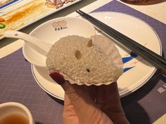 -点都德·毕德寮