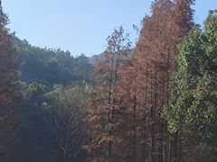 -宝界山林公园