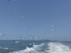 -长岛南北长山旅游景区