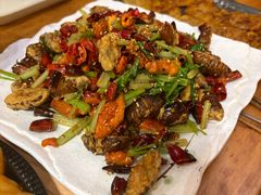 -小俩口烧烤东北菜(双井店)