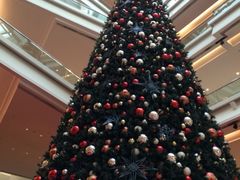 -帝豪酒店•马可勃罗西餐厅