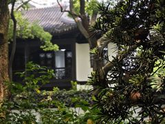 -上海醉白池公园