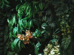 -咖啡人·融合餐厅(健康东路店)