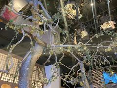 -桂满陇·海市蜃楼·黑金(国金店)