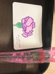 -海豚湾高端月子会所(黄浦店)