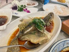 -粤味馆(黄河路店)