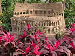 -南宫五洲植物乐园