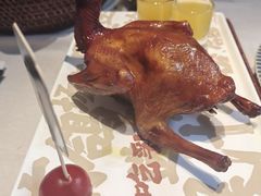 -大鸽饭(岗顶店)