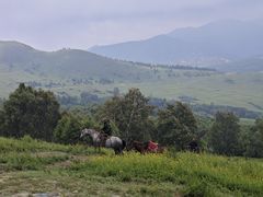 -灵山