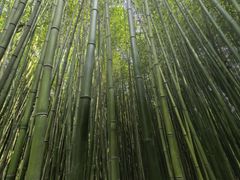 -竹泉村旅游度假区