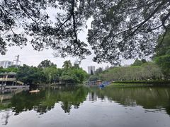 -晓港公园