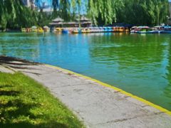 -团结湖公园