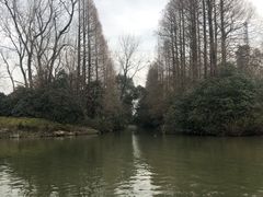 -上海滨江森林公园