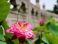 -重元寺香积厨素斋馆