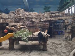 -石家庄市动物园