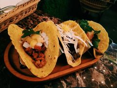 碎肉塔可饼-TEQO·Mexican food & Bar