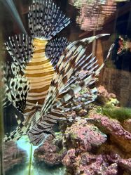 -Zoolung Zoolung动物主题公园(海信广场店)