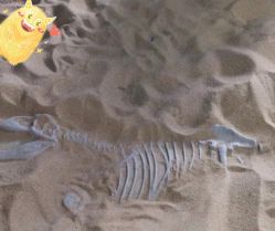 -恐龙探索乐园(磁器口店)