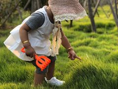 -长白山万达喜来登度假酒店