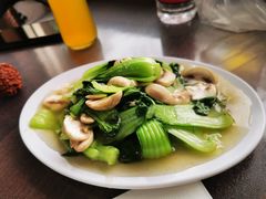 耗油滑菇-友谊餐馆(永安路店)