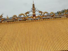 -东莞市大岭山森林公园