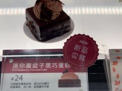 迷你覆盆子黑巧蛋糕-LE JARDIN de Joel Robuchon(新世界大丸百货店)