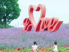 -西京湾花海