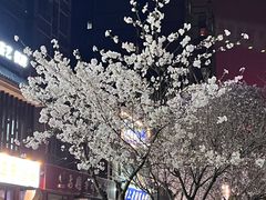 -乐乐餐厅(湘子庙街店)
