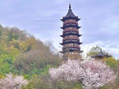 -牛首山文化旅游区