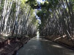 -同里国家湿地公园