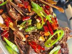 -大城·烧烤海鲜大排档(台东店)