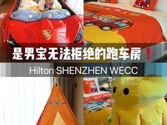 -深圳国际会展中心希尔顿酒店(前海华发冰雪世界店)