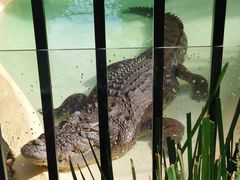 -费瑟代尔野生动物园