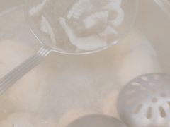 -正能量脆肉鲩火锅