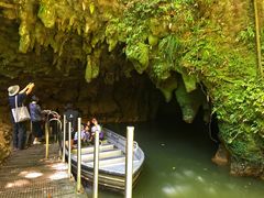 -怀托摩萤火虫洞