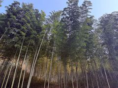-黄公望隐居地