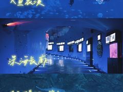 -烟台海昌鲸鲨海洋公园