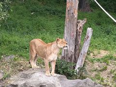 -宁波野生动物园