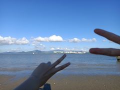 -深圳湾公园-停车场