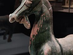 -张掖市博物馆