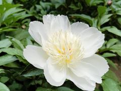 -国家植物园