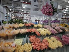-山姆会员商店(上海浦东店)